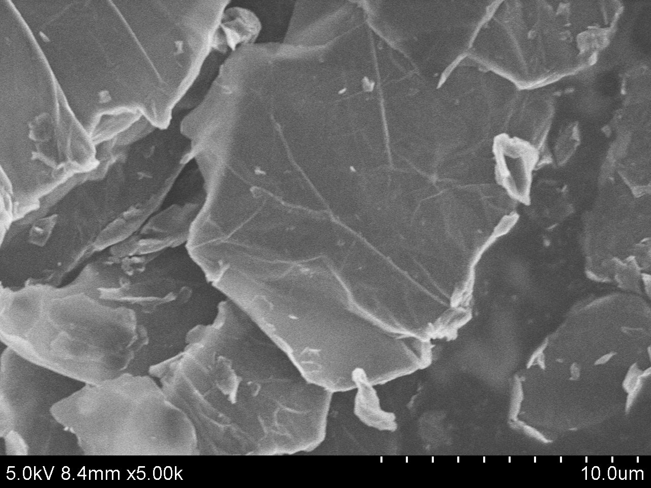 graphene oxide sem