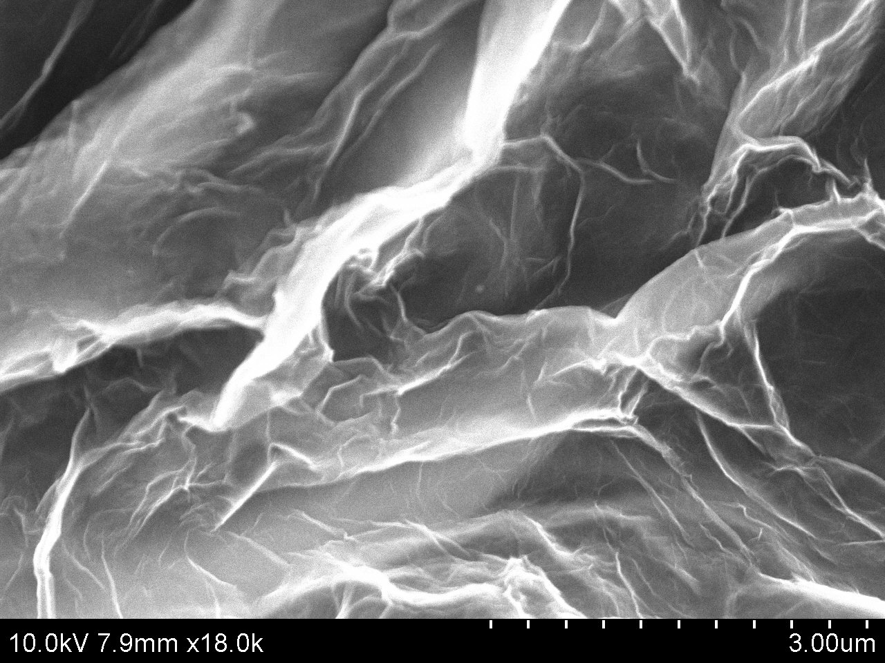 Typical SEM Image of ACS Material Graphene Aerogel/N-doped Graphene Aerogel (2)