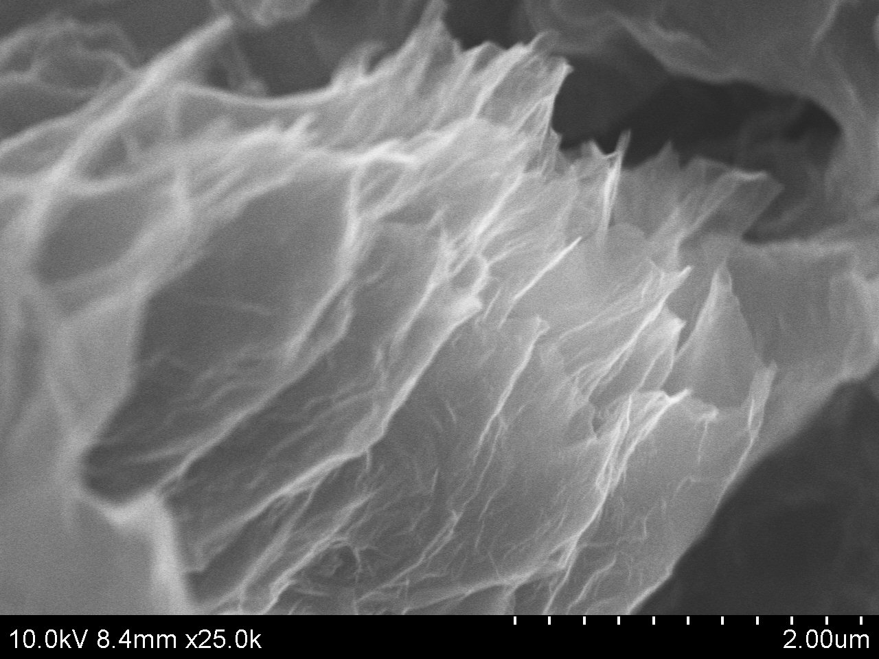 Typical SEM Image of ACS Material Graphene Aerogel/N-doped Graphene Aerogel (1)